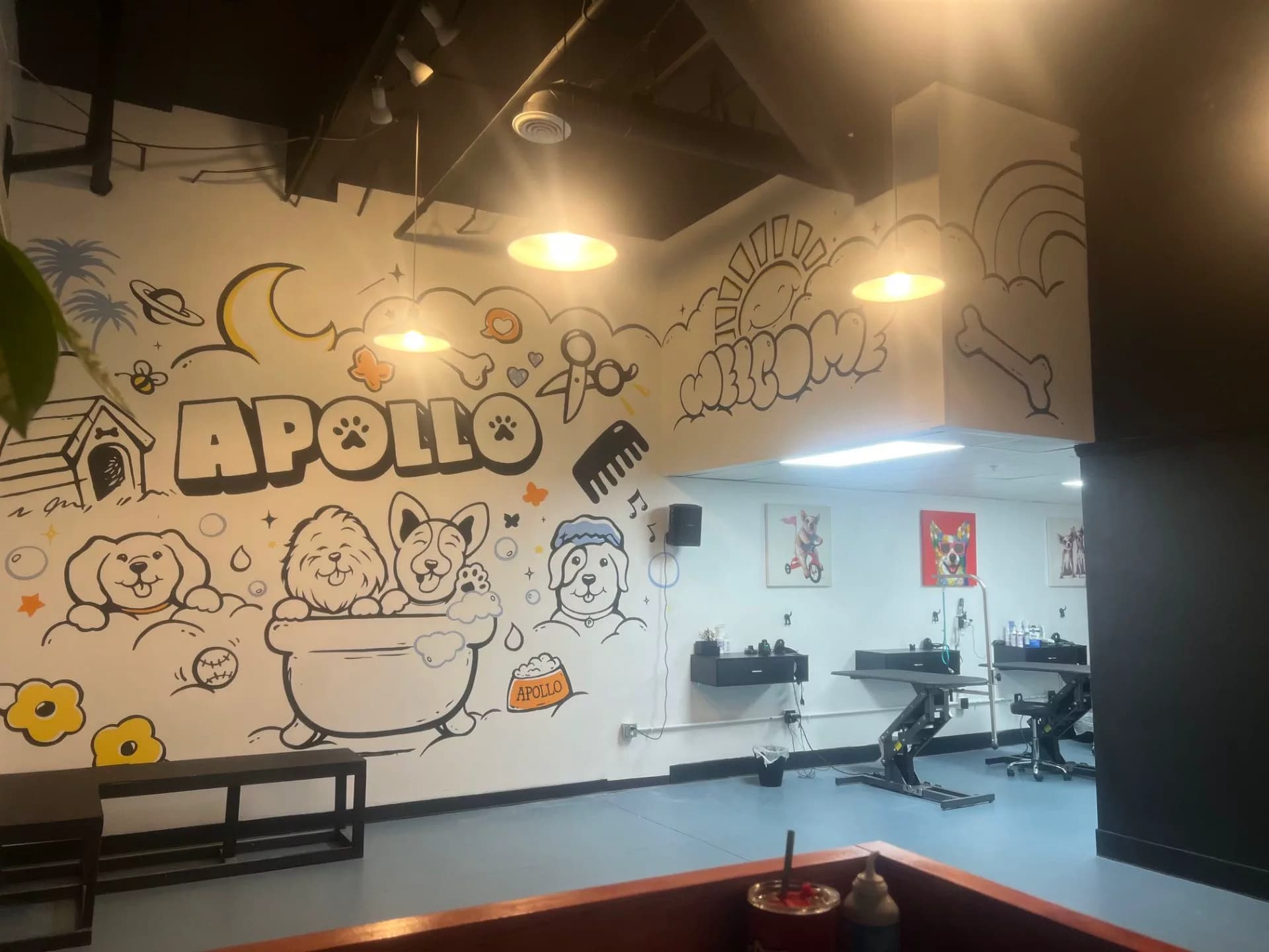 APOLLO PET SERVICES AND GROOMING INC